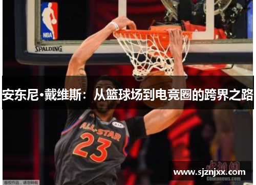安东尼·戴维斯：从篮球场到电竞圈的跨界之路