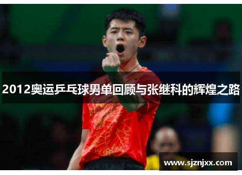 2012奥运乒乓球男单回顾与张继科的辉煌之路